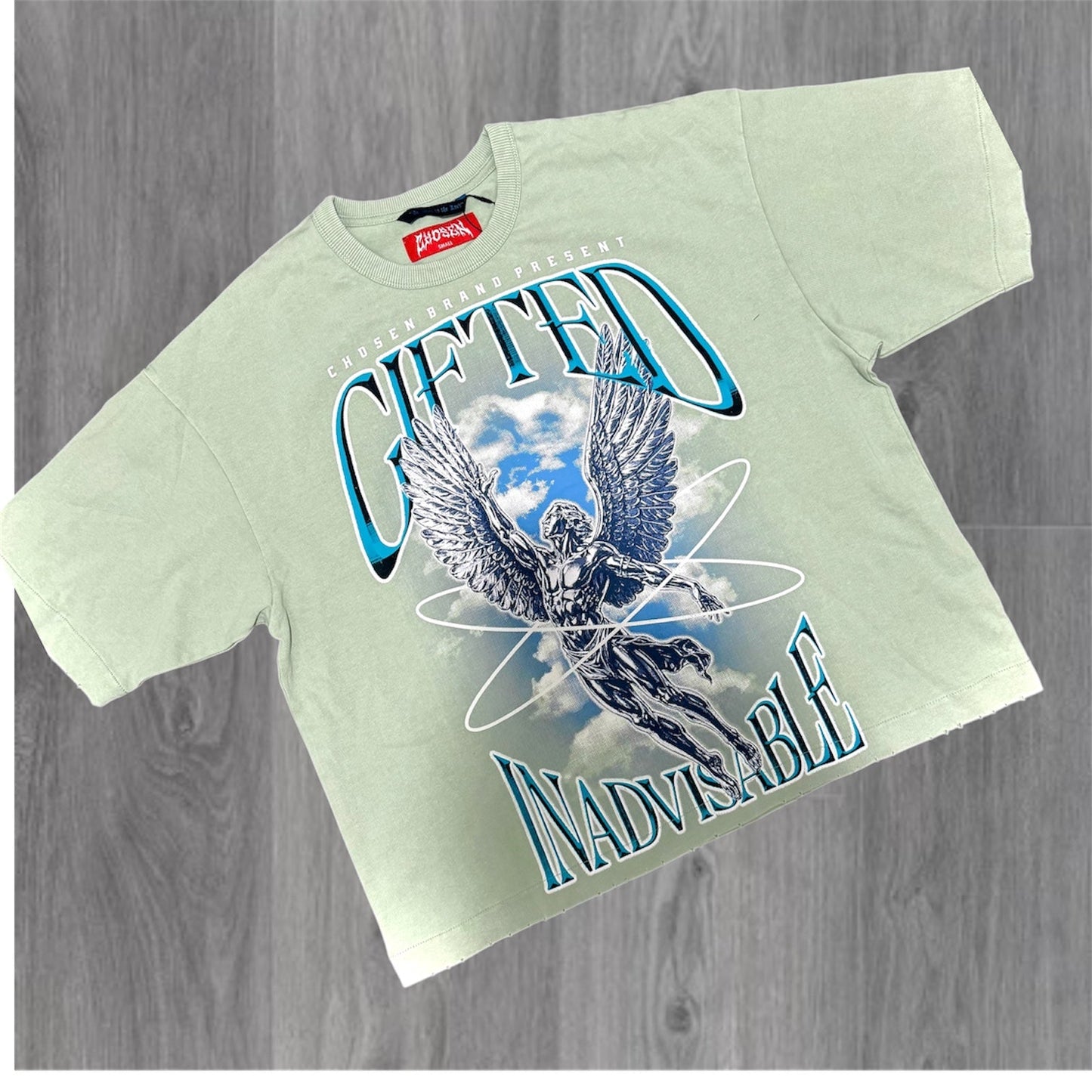 The Inadvisable T-shirt - Frost Green - 6107z