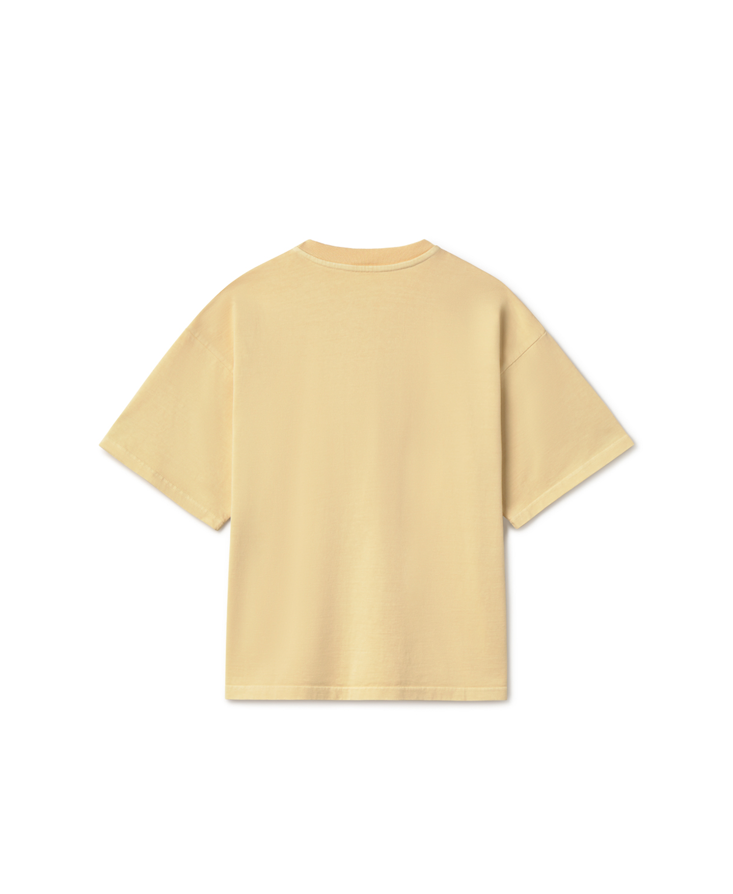 300 GSM 'Frost' T-Shirt